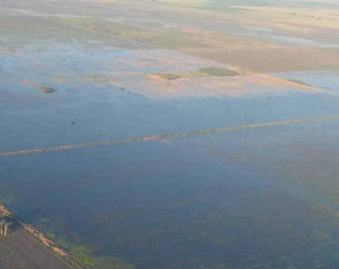 El INTA advierte por el Niño en septiembre: "Nos tiene que poner en alerta"