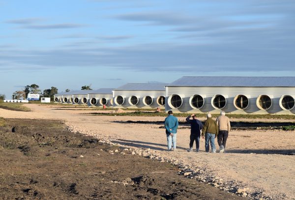 Las Camelias apuesta fuerte: 6 millones de dólares en Villaguay