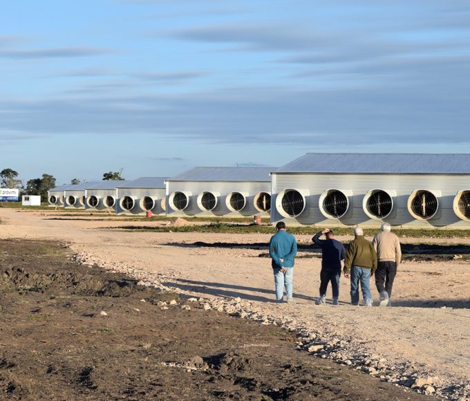 Las Camelias apuesta fuerte: 6 millones de dólares en Villaguay