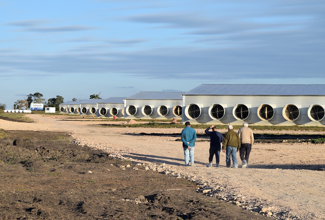 Las Camelias apuesta fuerte: 6 millones de dólares en Villaguay