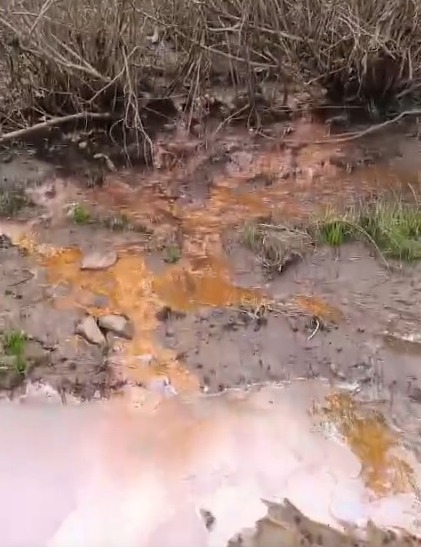 Sustancias aceitosas contaminan la playa Nebel: el derrame que alarma