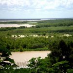 El Parque Nacional Pre-Delta suma 146 hectáreas de conservación