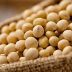 El protocolo que puede cambiar el futuro del agro entrerriano