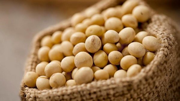 El protocolo que puede cambiar el futuro del agro entrerriano
