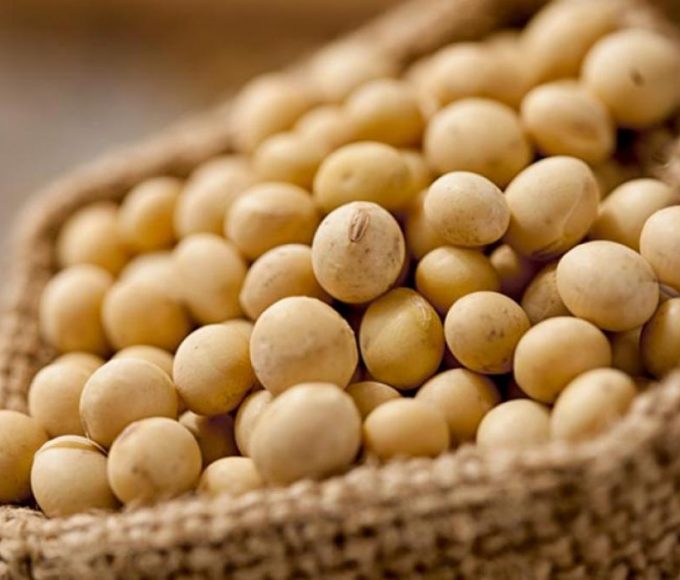 El protocolo que puede cambiar el futuro del agro entrerriano