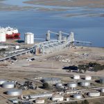 LDC levanta una planta gigante de girasol en Bahía Blanca: será récord mundial