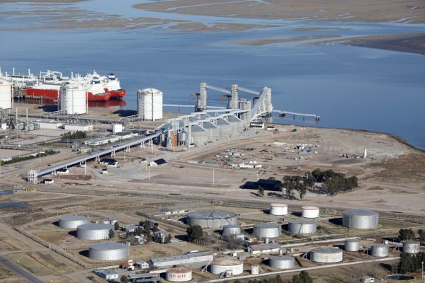 LDC levanta una planta gigante de girasol en Bahía Blanca: será récord mundial