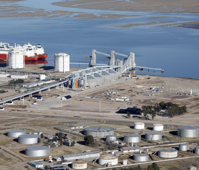 LDC levanta una planta gigante de girasol en Bahía Blanca: será récord mundial
