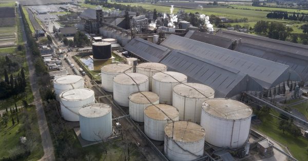 Louis Dreyfus invertira US$ 400 millones en una planta gigante en Bahia Blanca