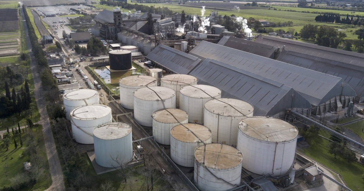 Louis Dreyfus invertira US$ 400 millones en una planta gigante en Bahia Blanca