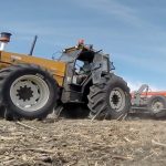 Entre Rios se suma al record historico de siembra de trigo en el pais