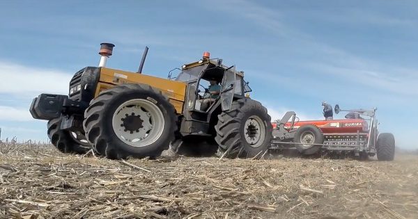 Entre Rios se suma al record historico de siembra de trigo en el pais