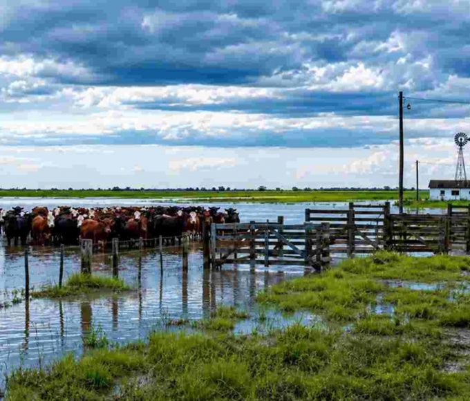El Niño y las lluvias: qué recomienda el INTA para proteger el campo