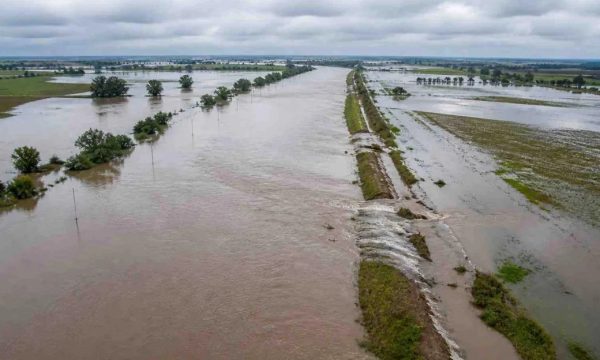 El Niño en Entre Ríos: provincia y municipios se preparan para las crecidas