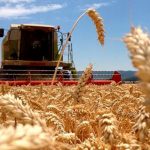 La maquinaria agrícola no levanta: cayó 5,1% interanual en junio