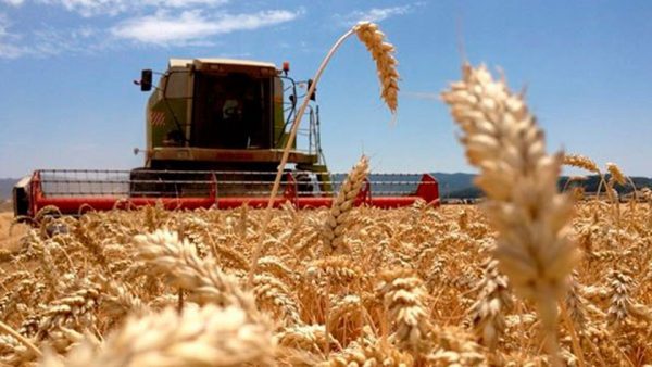 La maquinaria agrícola no levanta: cayó 5,1% interanual en junio