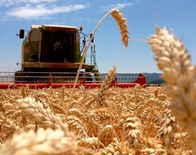 La maquinaria agrícola no levanta: cayó 5,1% interanual en junio