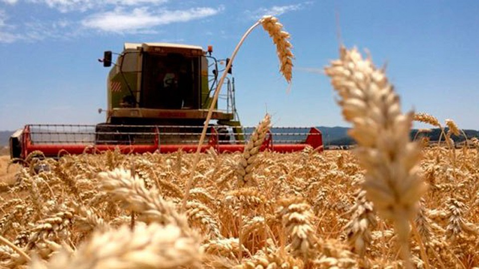 La maquinaria agrícola no levanta: cayó 5,1% interanual en junio