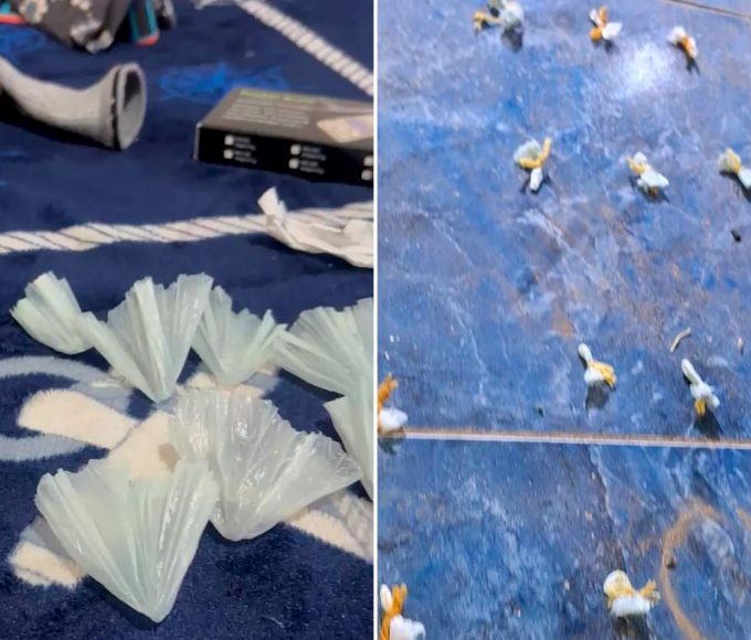 Vendía droga con tobillera: lo atraparon en plena domiciliaria en Concordia