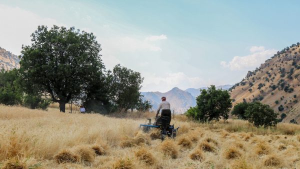 El Súper Niño y la guerra en Oriente Medio: la tormenta perfecta para los alimentos
