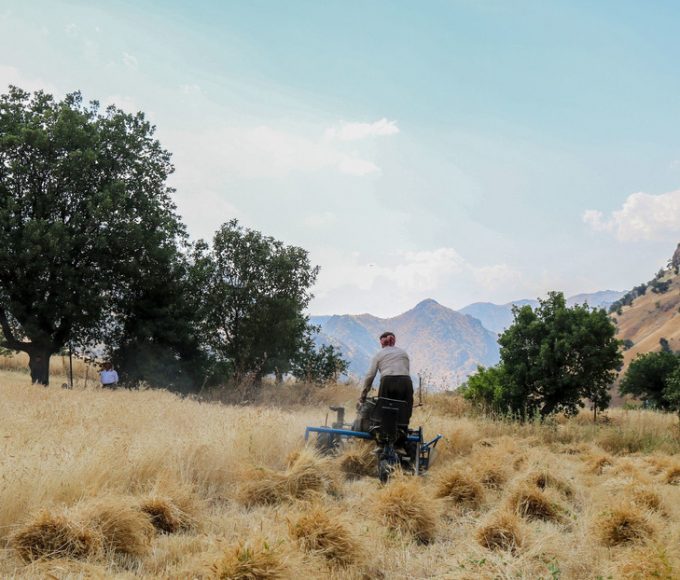 El Súper Niño y la guerra en Oriente Medio: la tormenta perfecta para los alimentos