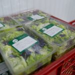 El Gobierno reduce trámites para exportar productos de origen animal