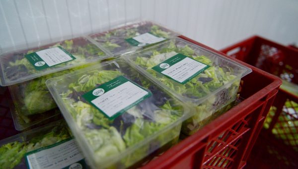 El Gobierno reduce trámites para exportar productos de origen animal