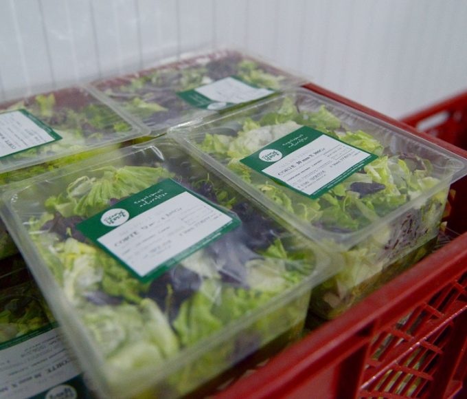 El Gobierno reduce trámites para exportar productos de origen animal