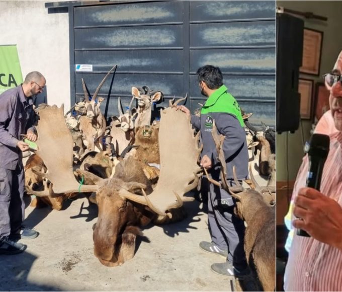Caza ilegal en Gualeguaychú: secuestran armas y trofeos por $1.326 millones