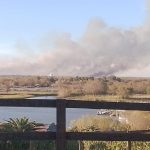 Incendios en el Delta: brigadistas entrerrianos y posibles quemas intencionales