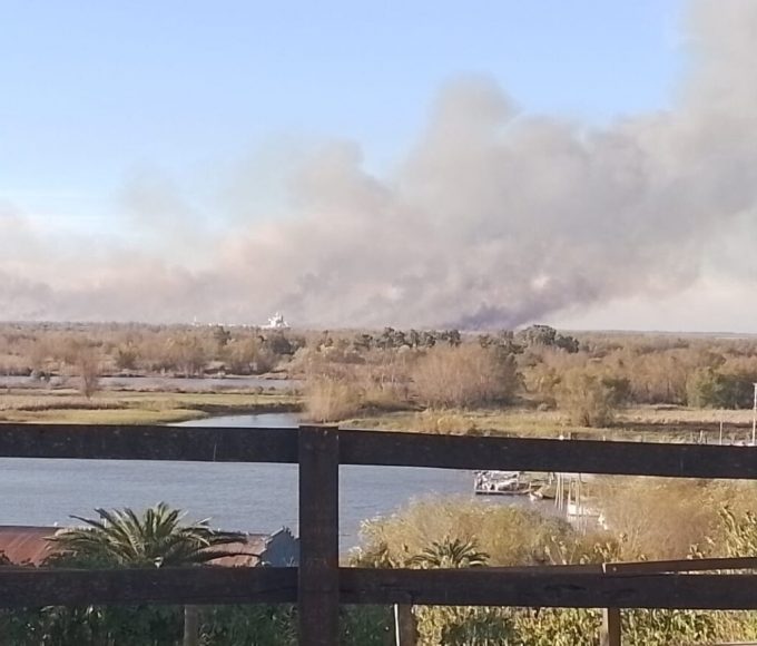 Incendios en el Delta: brigadistas entrerrianos y posibles quemas intencionales