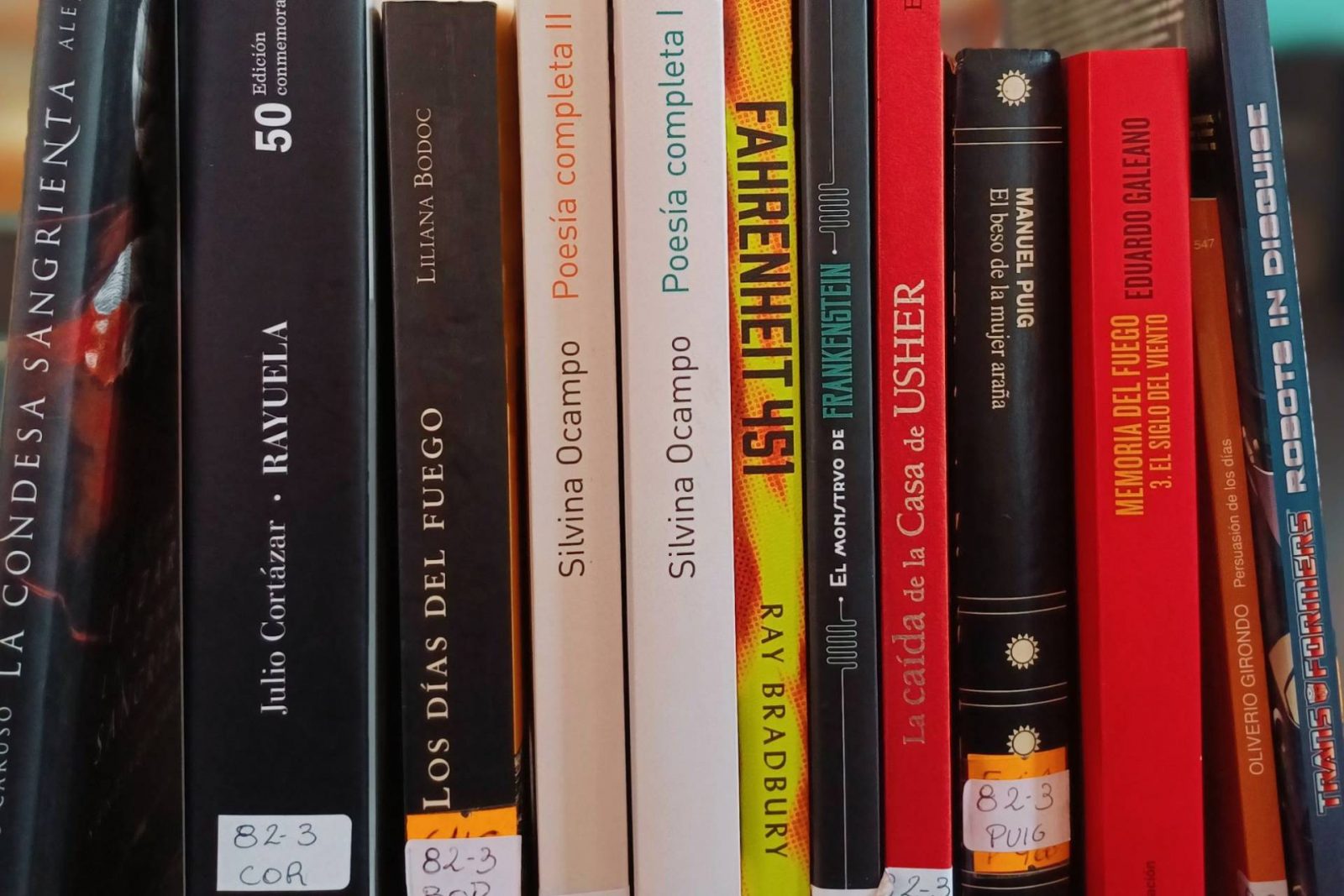 La Biblioteca Provincial de Entre Ríos pide libros: cómo donar