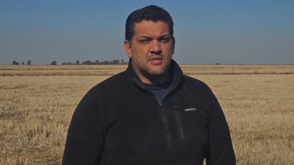 El arroz entrerriano en caída libre: de 700 a 140 productores