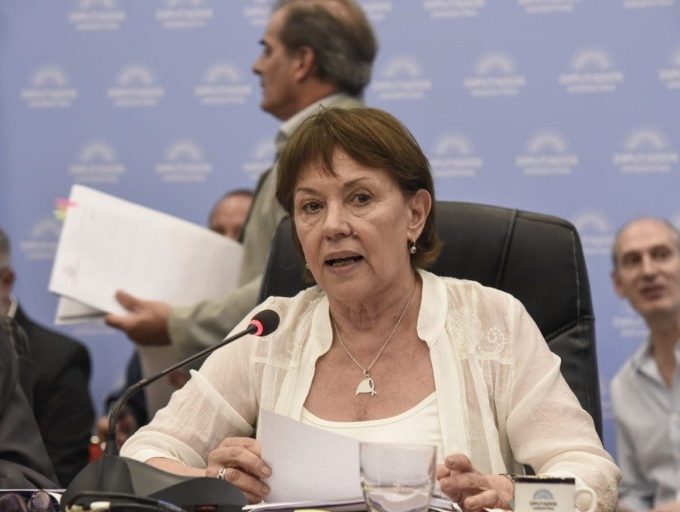 Ley de Tierras: Osuna celebró el revés al oficialismo en el Senado