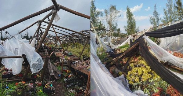 Concordia pide ser declarada zona de desastre tras el temporal del 19 de julio