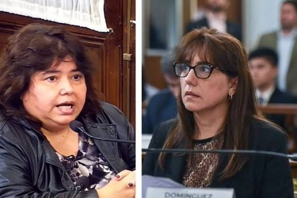 El PJ Paraná pide expulsar a Miranda y Domínguez por la reforma previsional