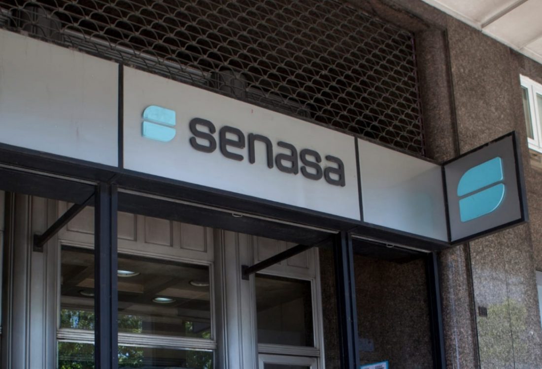 Senasa eliminó 42 normas de protección vegetal que ya no tenían vigencia