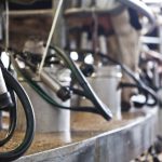 Coninagro: ocho sectores agropecuarios en rojo y siete en alerta amarilla
