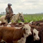 El Gobierno lanzó TRAZA, el nuevo sistema de trazabilidad ganadera