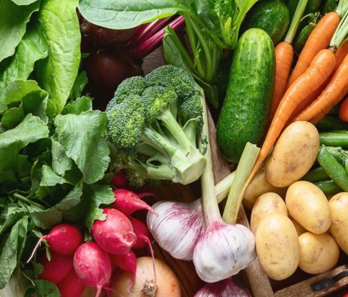 Senasa elimina más de 40 normas obsoletas para agilizar el agro
