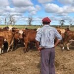 Plan de pago para empleadores rurales que regularicen deudas ante RENATRE