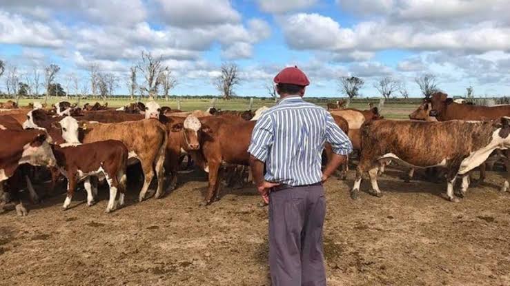 Plan de pago para empleadores rurales que regularicen deudas ante RENATRE
