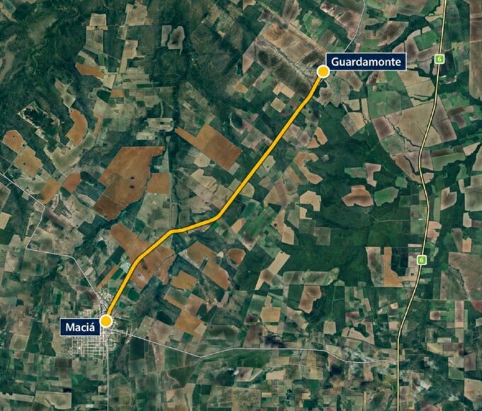 Rutas de miel: licitan caminos rurales y accesos a cooperativas apícolas